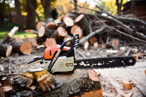 A chainsaw and heavy work gloves set down on a cut log after a storm