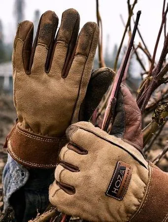 Weathered hands wearing tan leather work gloves gripping brush during backyard cleanup
