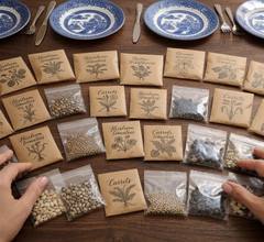 Hands arranging homemade kraft paper seed packets and clear bags on a wooden table, with Blue Willow china plates in the background