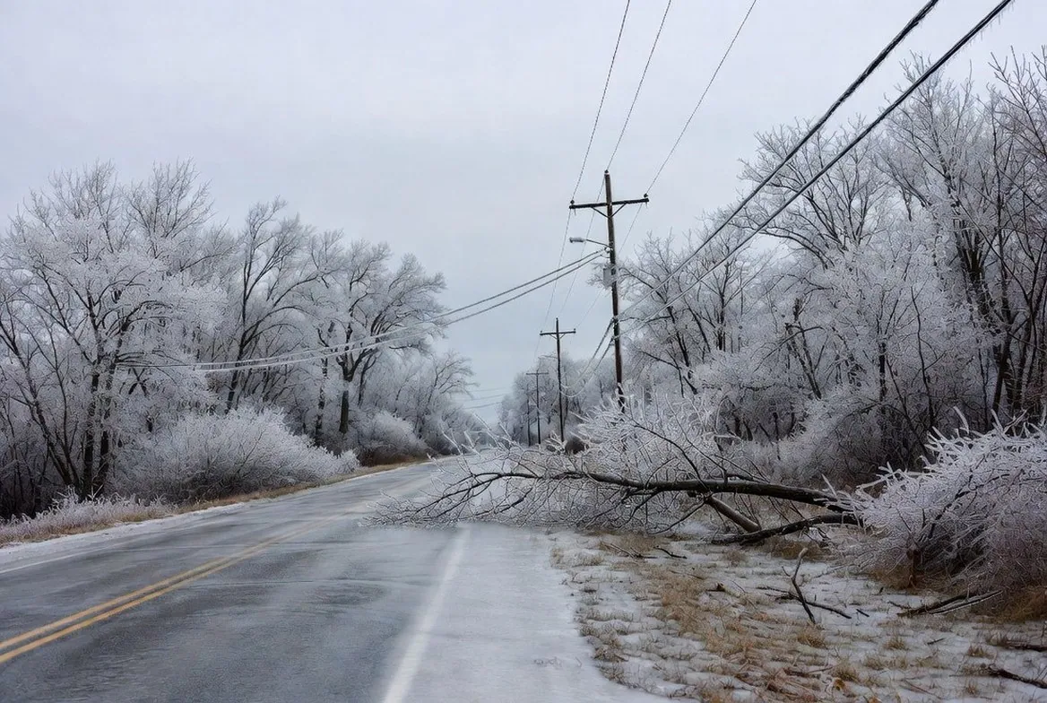 A rural two-lane road after an ice storm, every branch and every power line sheathed in clear ice and bent low, a limb down across the verge under a flat grey sky