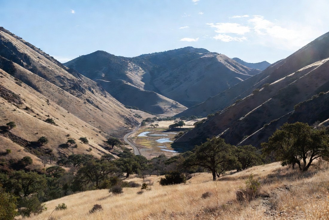 A dry golden mountain valley with scattered oaks on the slopes, a small pond in the fold of the canyon and a dirt road running through it