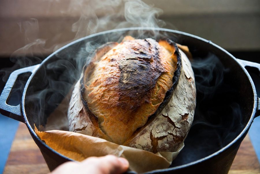 A tall sourdough loaf with a deeply browned, blistered, crackling crust steaming inside a cast iron Dutch oven on parchment paper