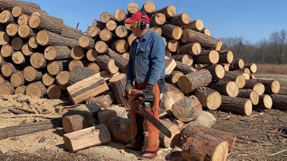 A man in ear defenders and cut-resistant chainsaw chaps bucking logs into rounds in front of a large stack of felled timber on a clear winter day