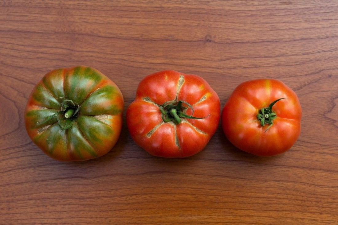 Three ribbed heirloom tomatoes on a wooden table, uneven in size and shape, one still green across the shoulder