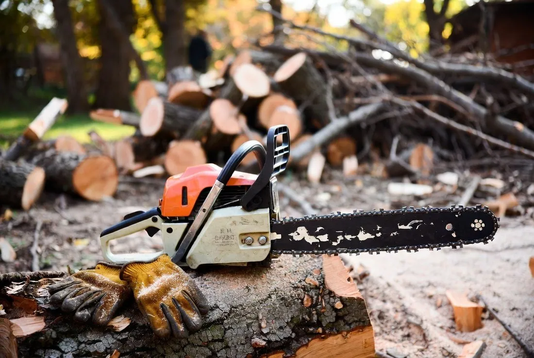 A chainsaw set down on a cut log beside a pair of heavy leather work gloves, sawdust on both, cut rounds and limbs stacked behind in autumn light
