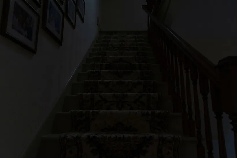 The same carpeted staircase at night with no lighting at all, the treads barely distinguishable in the dark
